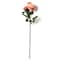 Coral English Rose Stem by Ashland®